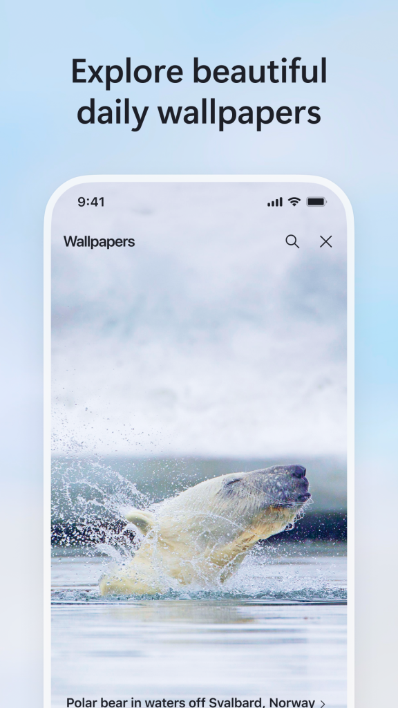 Bing Browser APK