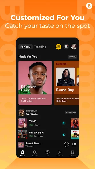Boomplay customized