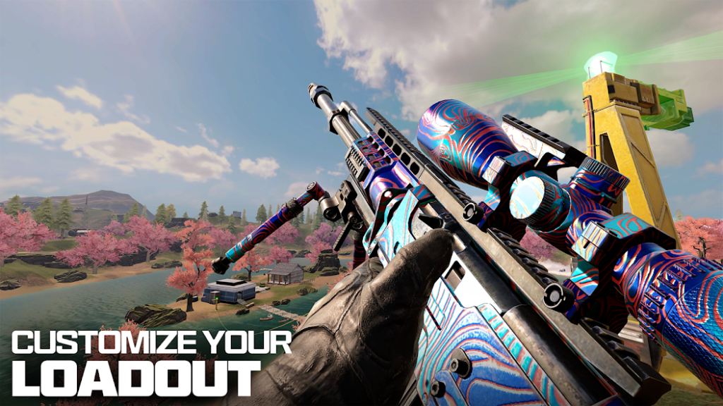 Call of Duty customize