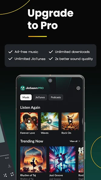 JioSaavn pro