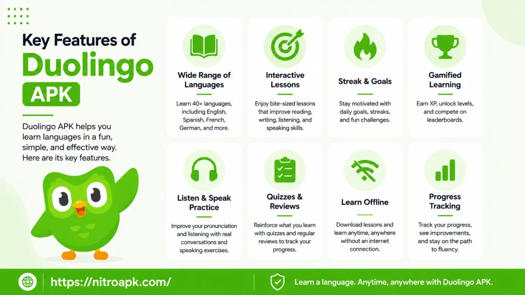 Key Features of Duolingo APK