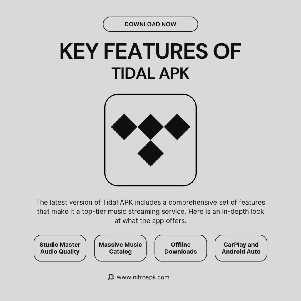 Key Features of Tidal APK