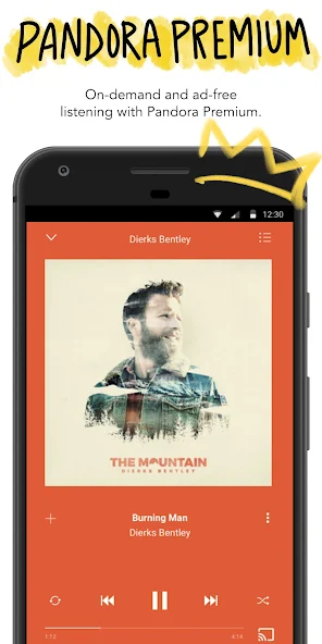 Pandora Screenshot 6