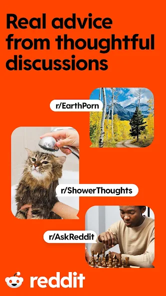 Reddit advice