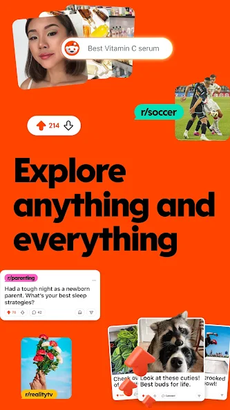 Reddit explore