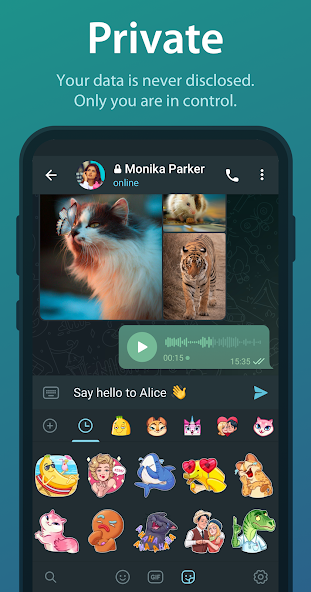 Telegram private